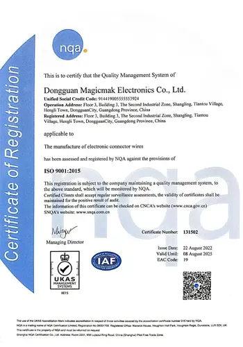imgi_10_ISO9001-1